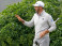 "PGA Championship" pēdējo raundu līdera godā sāks Džonsons, čempions Kepka draudīgā attālumā "PGA Championship" pēdējo raundu līdera godā sāks Džonsons, čempions Kepka draudīgā attālumā