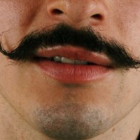 aris no kombuliem2