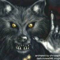DarkWolf