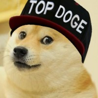 DOGE