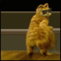 gallblader