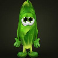 GURKIS;D