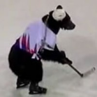 HockeyBear