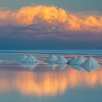 janis_ozols_120558042256166