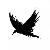 raven