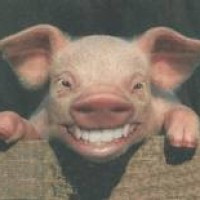Scatentibus