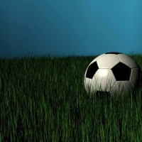 Sports writer
