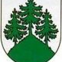 tamerlan