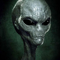 vilmars_greyalien_2119507301625882