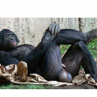 zinātājs turpina ģērē nezinātajus