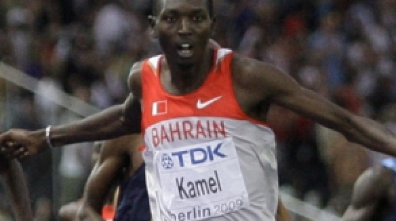 Jusufs Saads Kamels 
Foto: AP