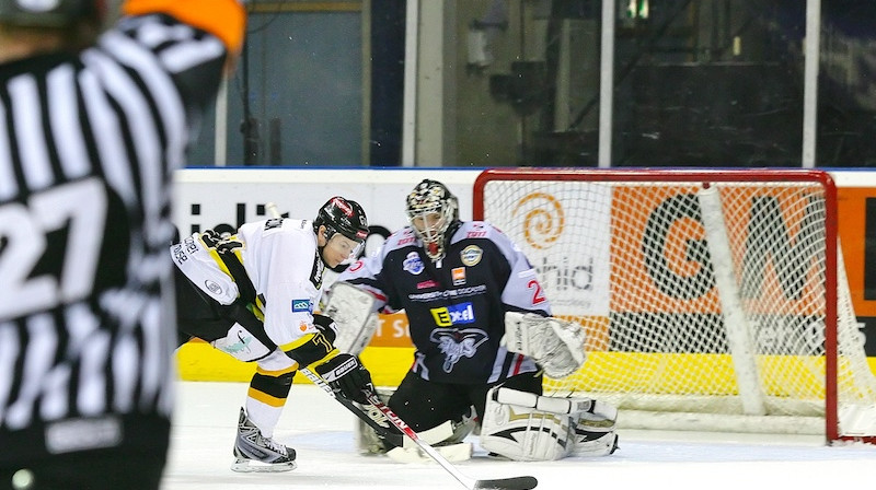 "Stingrays" vārtos Mārtiņš Raitums