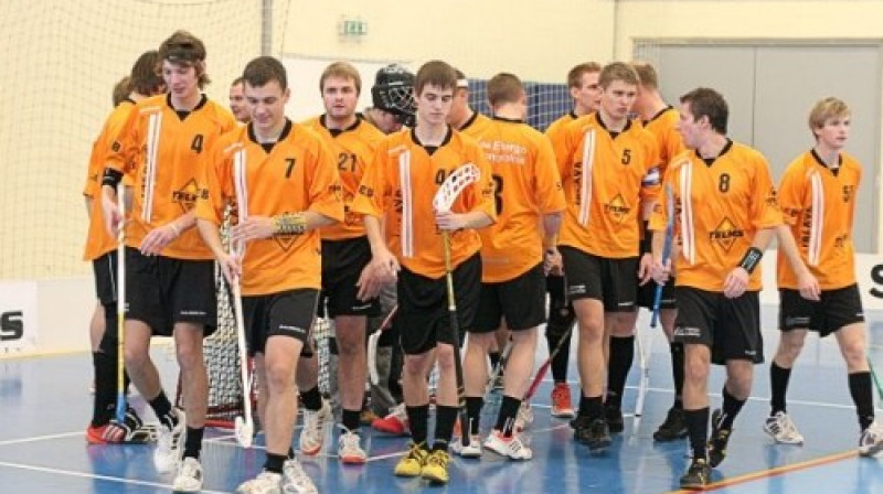 Irlavnieki paši uz sava laukuma
Foto: www.ntz.lv