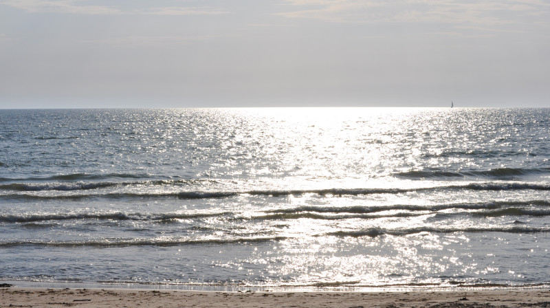 Foto: Iveta Apškrūma