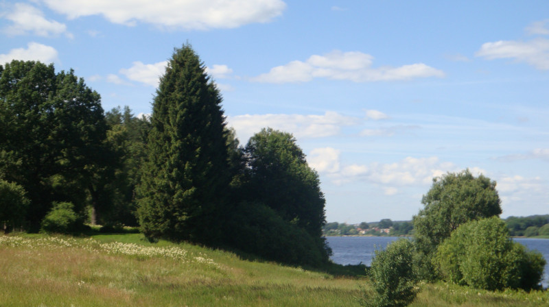Foto; Iveta Apškrūma