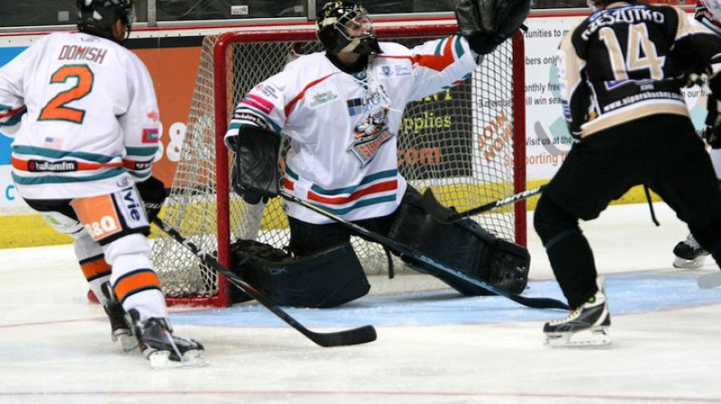 http://www.sheffieldsteelers.co.uk/gallery.