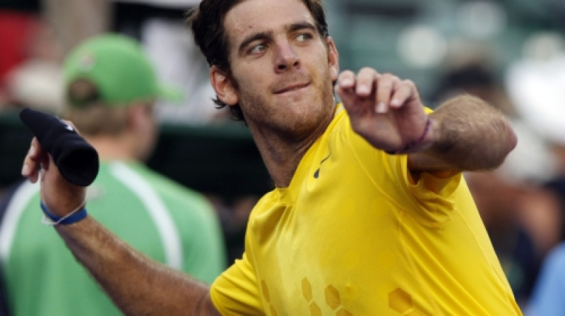 Huans Martins Del Potro
Foto: Reuters/Scanpix