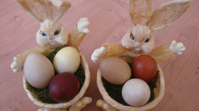 Foto: Iveta Apškrūma