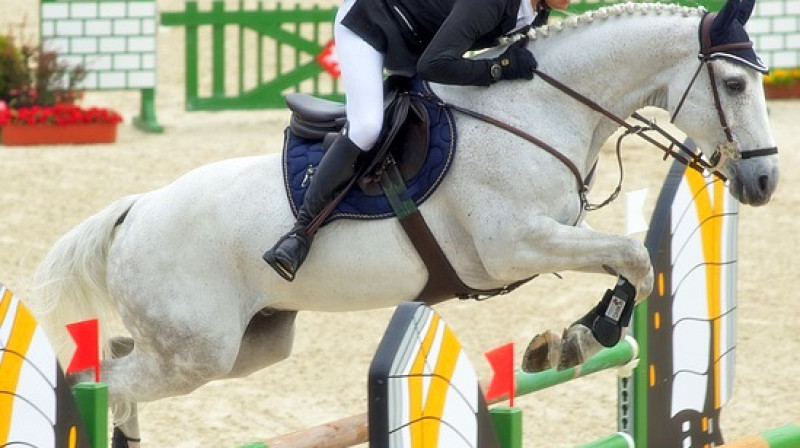 Andis Vārna ar Marmoru 
Foto: Latvijas Jātnieku federācija