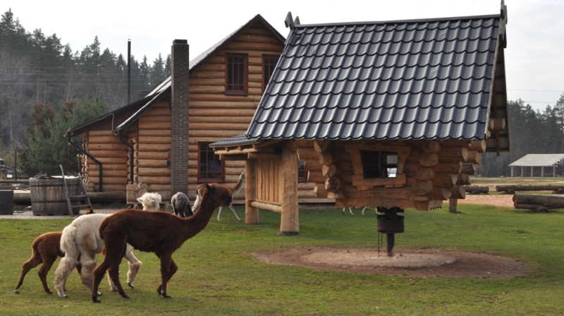 Foto: Iveta Apškrūma
