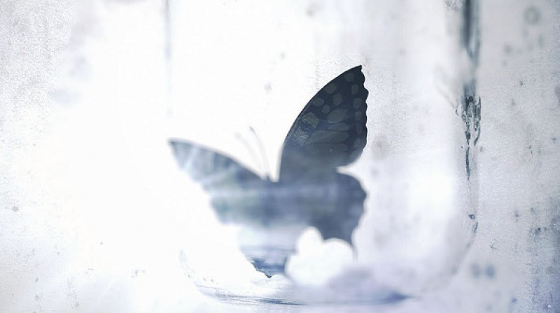 Fragments no grāmatas vāka "Brīnišķīgais neprāts"