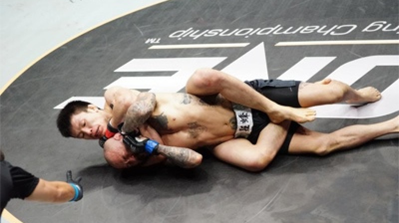 Šinja Aoki pielietojot žņaugšanas paņēmienu cīņā ar Kotetsu Boku
Foto: mmajunkie.com