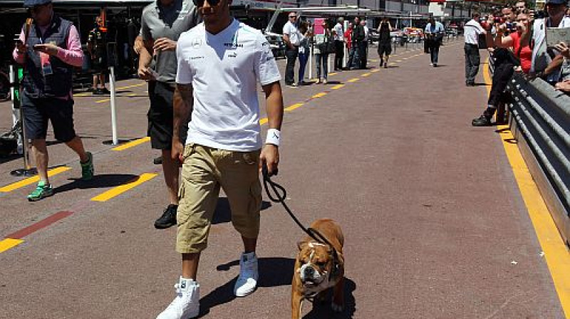 Hamiltons ar suni
Foto: Digitale/Scanpix