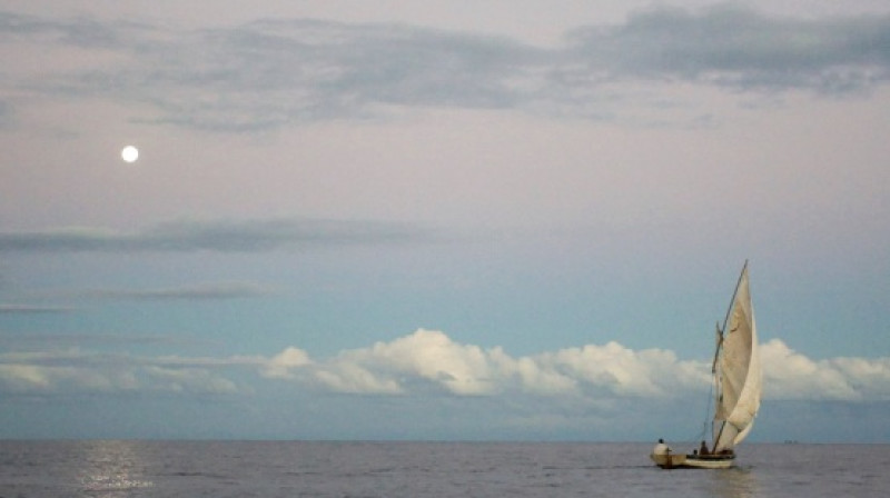 Uz kurieni šoreiz pūtīs Latvijas vēji?

Foto: adventurerace.lv