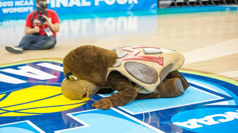 "Maryland" talismans bruņurupucis skūpsta "Amalie Arena" grīdu
Foto: NCAA photos
