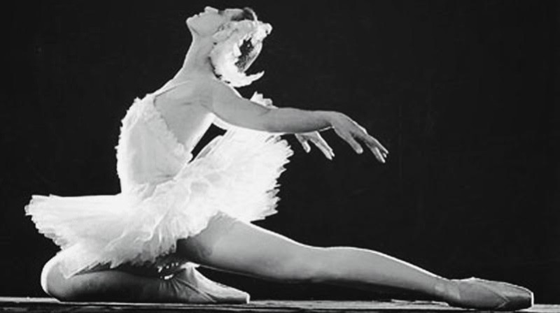 Māksliniece Maija Pļisecka