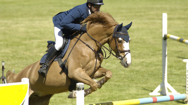 Andis Vārna
Foto: LJF