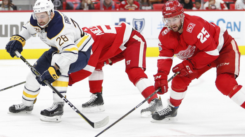 Zemgus Girgensons un Maiks Grīns
Foto: USA Today Sports