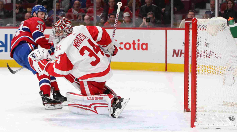 Ripa ielido "Red WIngs" vārtos
Foto: USA Sports Today/Scanpix