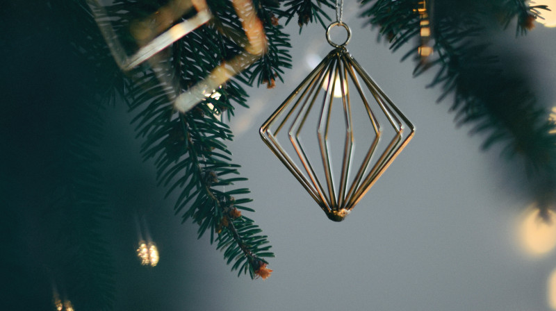 Foto: Anita Austvika