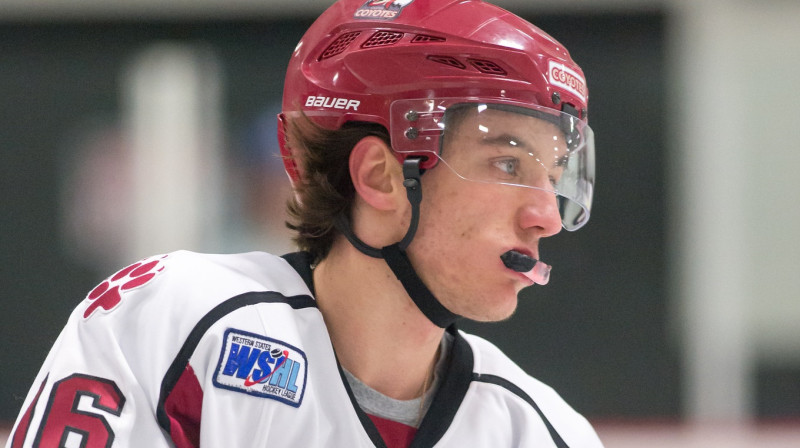 Mārtiņš Vītoliņš
Foto: Flickr/mark6mauno