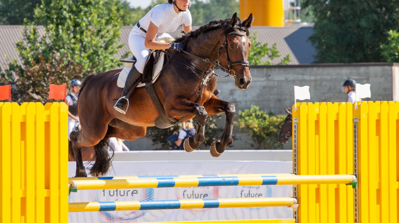 Labākais 5 gadus vecais Baltijas hanoveru šķirnes zirgs Perla
Foto: lszaa.lv