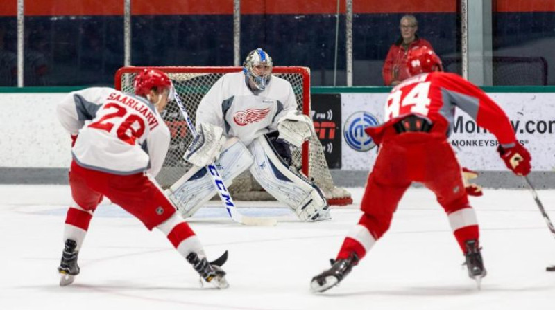 Matejs Mahovskis. Foto: DetroitRedWings.com