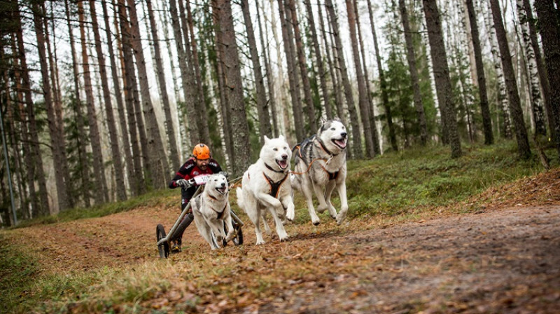 Foto: Egons Ansbergs.