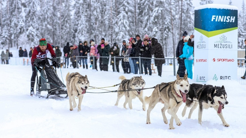 Foto: “Dogsport Carnikava".