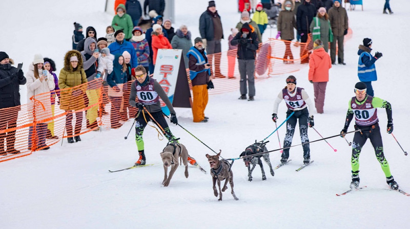 Starts stafešu pirmajam braucienam. No kreisās: F.Zaržeckis, G,Šabanova, A.Jakobsons. Foto: Māris Stiprais.