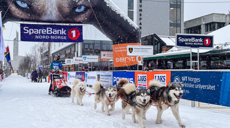 Sanita Vīksne un viņas mīluļi finišē prestižajā Finnmarksloppet pēc veiktajiem 600km. Foto: Marit Leinan Abrahamsen