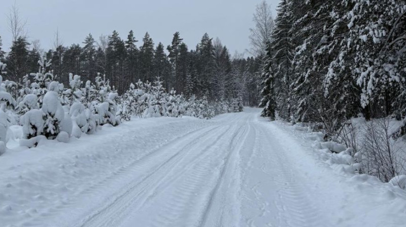 Foto: Rally Alūksne