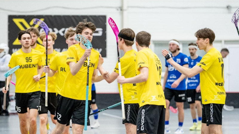 Kocēnu "Rubene". Foto: Jānis Lārmanis, LFS