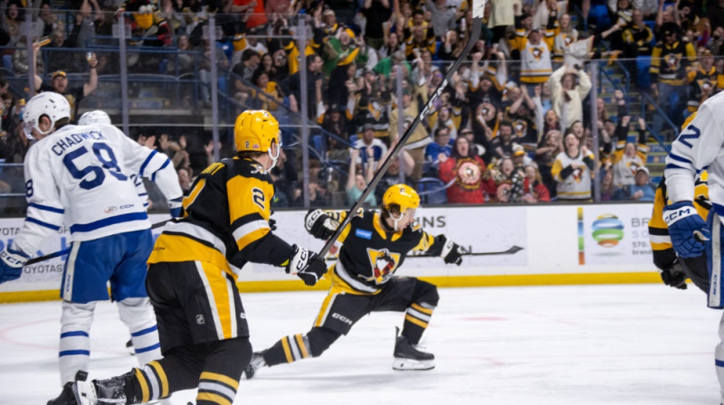 Foto: Wilkes-Barre/Scranton Penguins