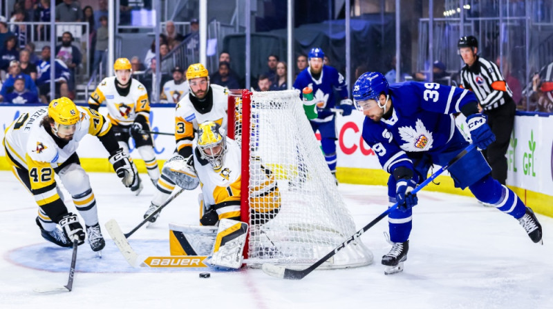 Foto: Toronto Marlies