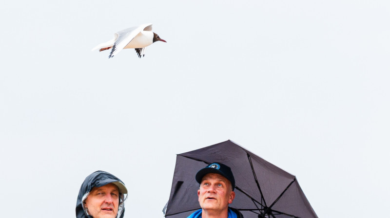 Kaijas pārlidojums. Foto: Kristaps Platačs