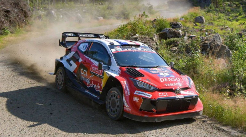 Foto: TGR WRT