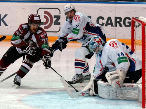 "Dinamo" viesos pazemo "Sibir"