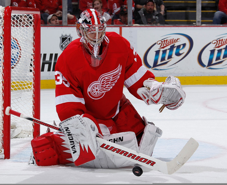 "Ducks", "Islanders" un "Red Wings" neveiksmes turpinās