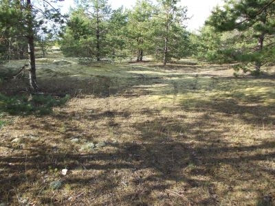 Latvijas orientēšanās čempionāts septembrī risināsies Daugavpilī